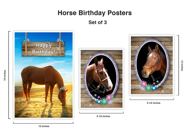 Colorful vibrant set of posters to present your "Happy Birthday” message! 13 x 19 poster showcases a horse grazing on the meadow at sunrise, and a barn board “Happy Birthday” sign hanging above that announces the start of this special day. Two 9.5 x 13 side posters showcase horses. Playful floral illustrations add a fanciful touch to our Happy Birthday horse pictures. Printed on stock with soft velvet finish. Great horse themed décor for the home or barn once the party is over! tribegift.com